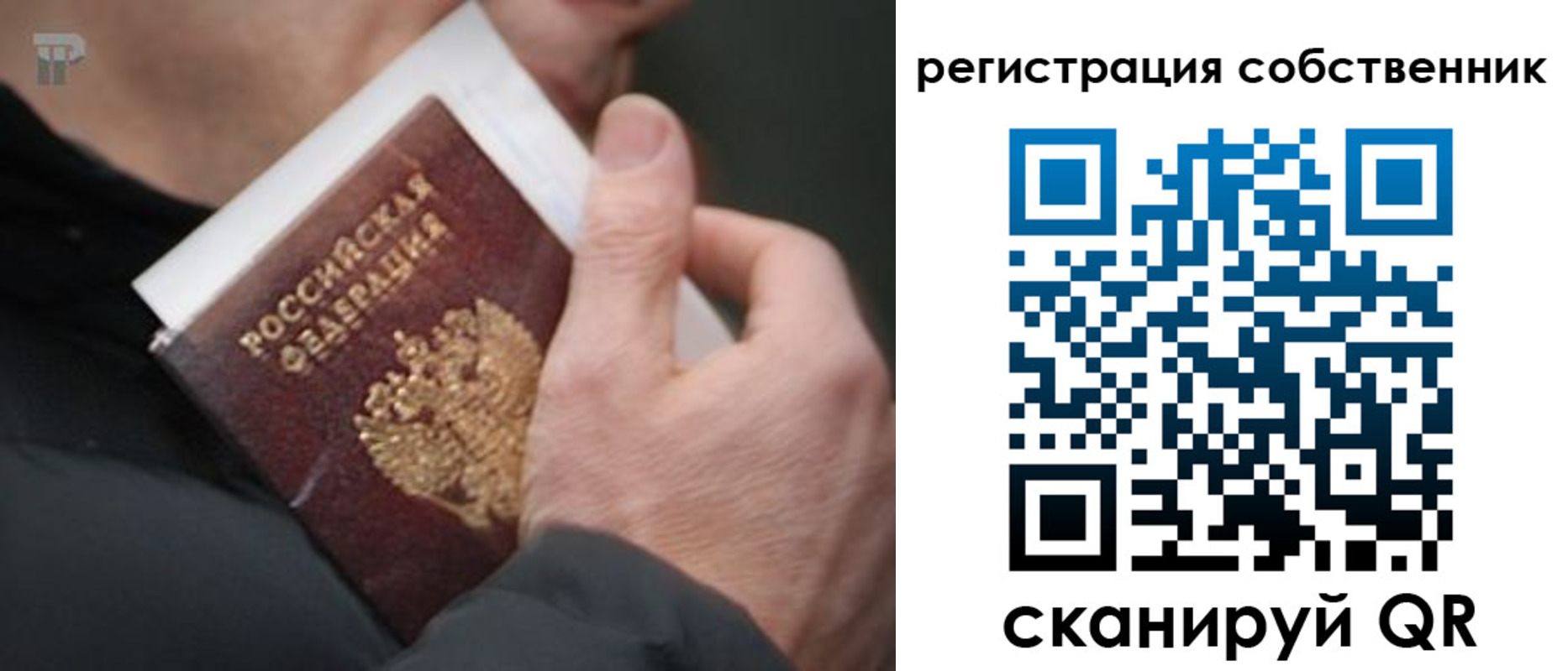 временная регистрация для всех в Светлогорске